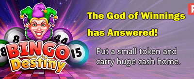 Win Big with BetGja Today